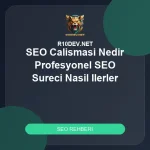 07-seo-calismasi-nedir-profesyonel-seo-sureci-nasil-ilerler.webp 07-seo-calismasi-nedir-profesyonel-seo-sureci-nasil-ilerler.webp