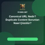 03-canonical-url-nedir-duplicate-content-sorunlari-nasil-cozulur.webp