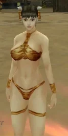 vsro avatar.webp