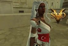 vsro 3d npc model.webp vsro 3d npc model.webp