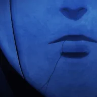 Digidan
