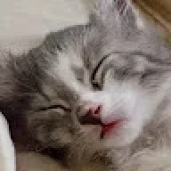 dsfghjklghsghgsf