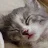 dsfghjklghsghgsf