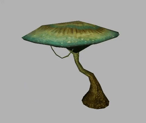 oswHl8m.gif